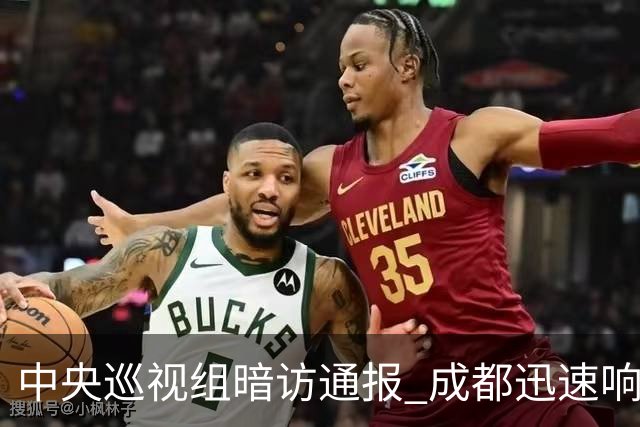 中央巡视组暗访通报 成都迅速响应立案拟顶格处罚